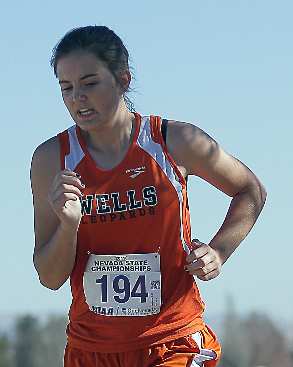 Divison 1A-2A Girls State Cross Country 08.jpg